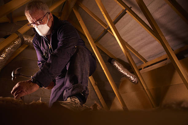 Best Geographic-Specific Insulation Services in Lawton, OK